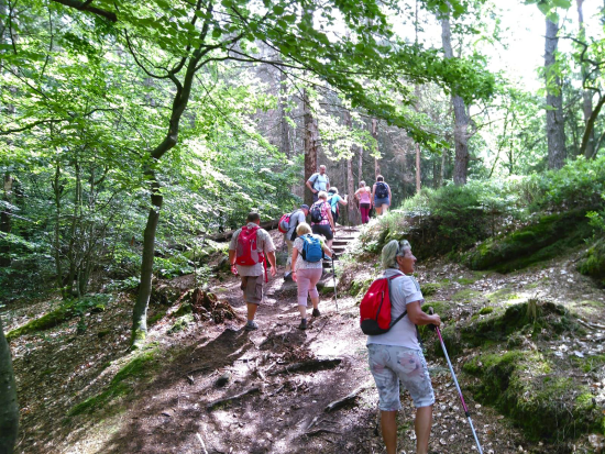 Felsenwald-Tour_Juni_2021